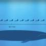 blue-whale-vs-humans.jpg