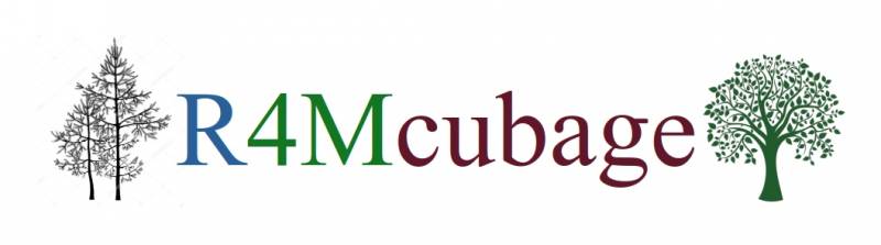 r4mcubage-logo.jpg