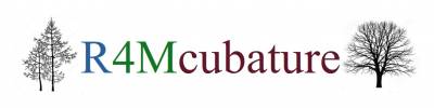 R4Mcubage