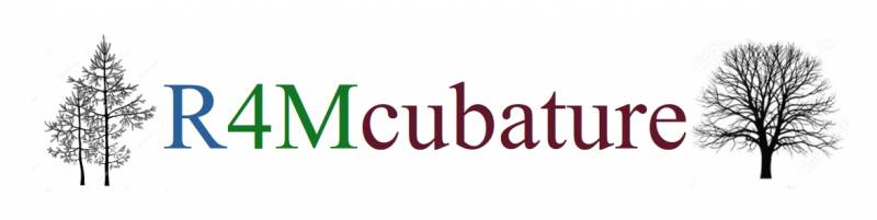 r4mcubature-logo.jpg